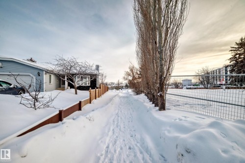 72 Howson Crescent, Edmonton, AB - Outdoor