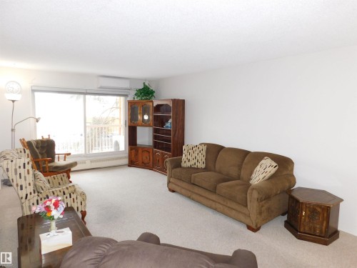 210 10945 21 Avenue, Edmonton, AB - Indoor Photo Showing Living Room