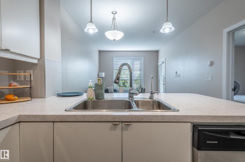 102 2590 Anderson Way, Edmonton, AB - Indoor Photo Showing Kitchen With Double Sink