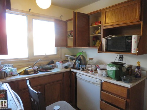 4103 111A Street, Edmonton, AB - Indoor Photo Showing Kitchen With Double Sink