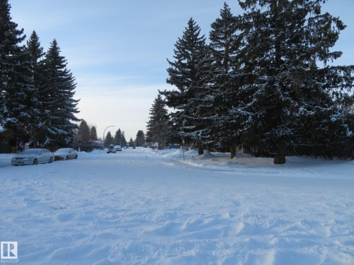 4103 111A Street, Edmonton, AB - Outdoor With View