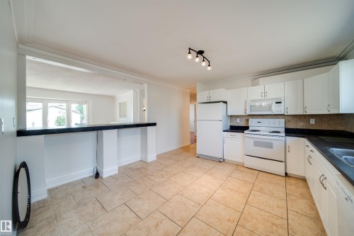18851 99A Avenue Nw, Edmonton, AB - Indoor Photo Showing Kitchen With Double Sink