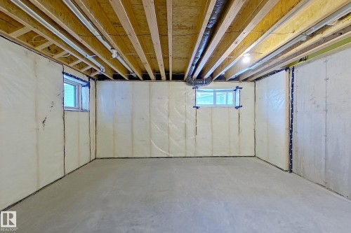 18910 29 Avenue, Edmonton, AB - Indoor Photo Showing Basement