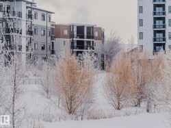 211 11803 22 Avenue  Edmonton, AB T6W 2R9