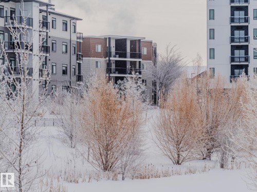 211 11803 22 Avenue  Edmonton, AB T6W 2R9