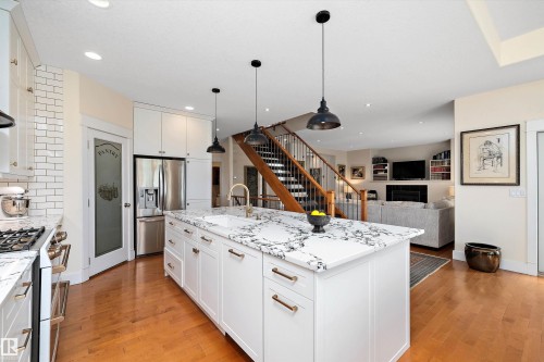 1644 Hector Road, Edmonton, AB - Indoor Photo Showing Kitchen With Upgraded Kitchen