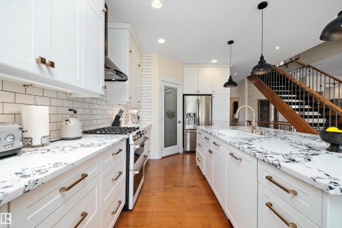 1644 Hector Road, Edmonton, AB - Indoor Photo Showing Kitchen With Stainless Steel Kitchen With Upgraded Kitchen