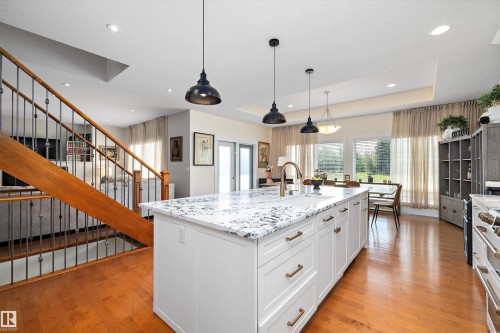 1644 Hector Road, Edmonton, AB - Indoor Photo Showing Kitchen With Upgraded Kitchen