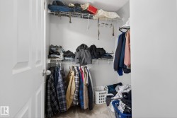 Spacious closet featuring carpet - 
