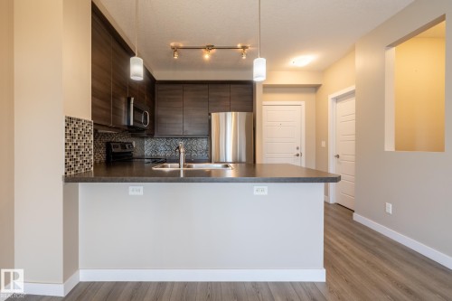 203 2590 Anderson Way, Edmonton, AB - Indoor Photo Showing Kitchen With Double Sink
