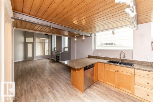 208 10009 102 Avenue, Edmonton, AB - Indoor Photo Showing Kitchen With Double Sink
