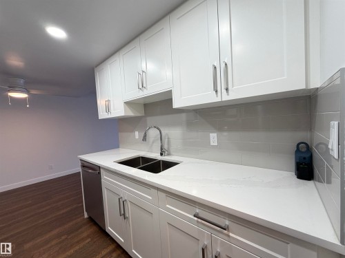 103 10511 19 Avenue, Edmonton, AB - Indoor Photo Showing Kitchen With Double Sink