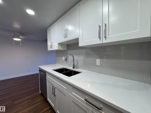103 10511 19 Avenue, Edmonton, AB - Indoor Photo Showing Kitchen With Double Sink