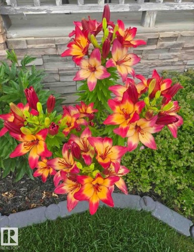 169 62 Street, Edmonton, AB - Outdoor