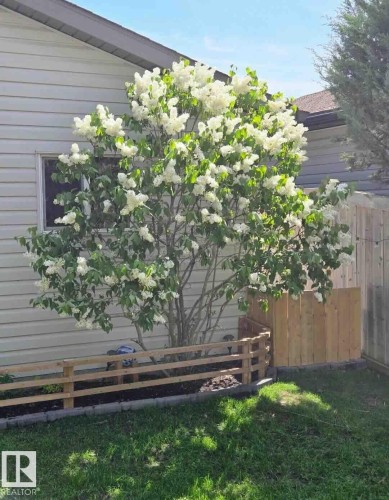 169 62 Street, Edmonton, AB - Outdoor