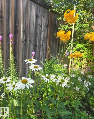 169 62 Street, Edmonton, AB - 