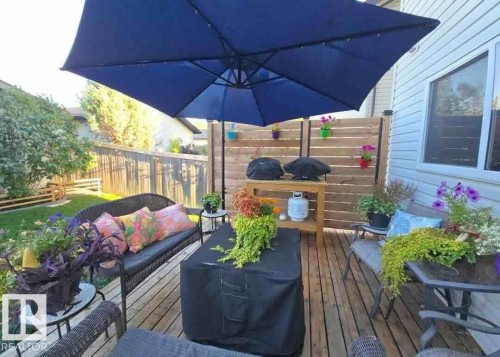 169 62 Street, Edmonton, AB - Outdoor With Deck Patio Veranda With Exterior