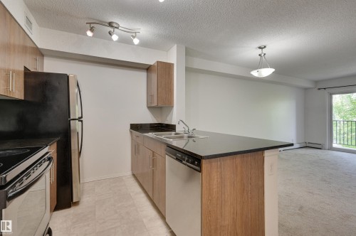 303 530 Watt Boulevard, Edmonton, AB - Indoor Photo Showing Kitchen With Double Sink