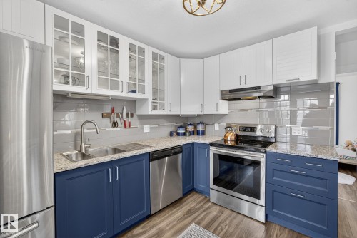 9022 92 Street, Edmonton, AB - Indoor Photo Showing Kitchen With Double Sink With Upgraded Kitchen