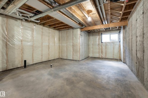 3117 Magpie Way, Edmonton, AB - Indoor Photo Showing Basement