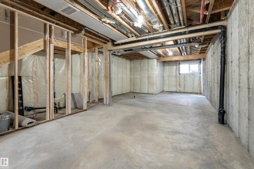 3117 Magpie Way, Edmonton, AB - Indoor Photo Showing Basement