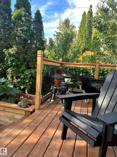 10720 126 Street, Edmonton, AB - Outdoor With Deck Patio Veranda