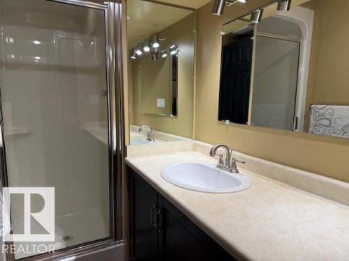 17607 55 Avenue, Edmonton, AB - Indoor Photo Showing Bathroom