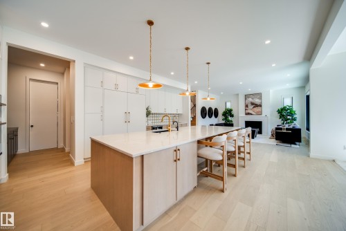 10522 134 Street, Edmonton, AB - Indoor Photo Showing Kitchen With Upgraded Kitchen