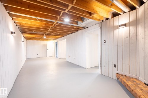 16215 102 Street, Edmonton, AB - Indoor Photo Showing Basement