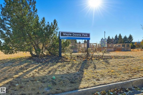 2 Cliff Crescent, Edmonton, AB - Outdoor With View