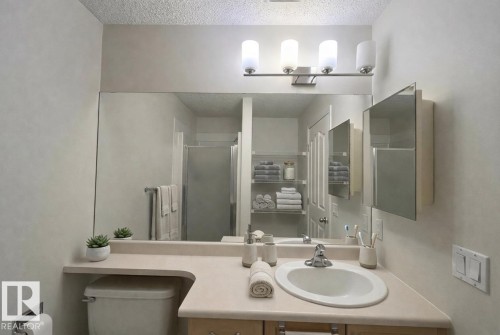 #226 10511 42 Avenue, Edmonton, AB - Indoor Photo Showing Bathroom