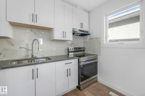 11932 91 Street, Edmonton, AB - Indoor Photo Showing Kitchen With Double Sink