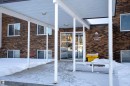 Snow covered patio featuring a patio - 207 11465 41 Avenue, Edmonton, AB  - Outdoor 