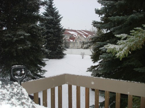 15114 45 Avenue, Edmonton, AB - Outdoor