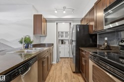 Kitchen featuring stainless steel appliances, dark stone counters, light wood finished floors, tasteful backsplash, and dark brown cabinetry - 
