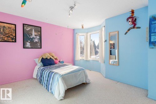 6508 109 Avenue, Edmonton, AB - Indoor Photo Showing Bedroom