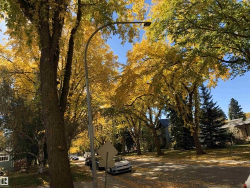 9135 117 Street, Edmonton, AB - Outdoor With View