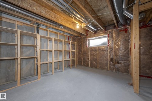 1438 Watt Drive, Edmonton, AB - Indoor Photo Showing Basement