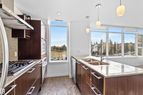 209 2606 109 Street, Edmonton, AB - Indoor Photo Showing Kitchen With Double Sink With Upgraded Kitchen