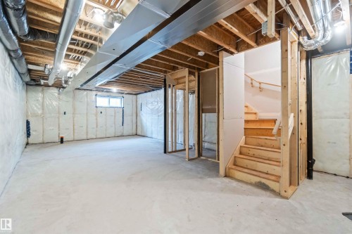 1013 Aster Boulevard, Edmonton, AB - Indoor Photo Showing Basement