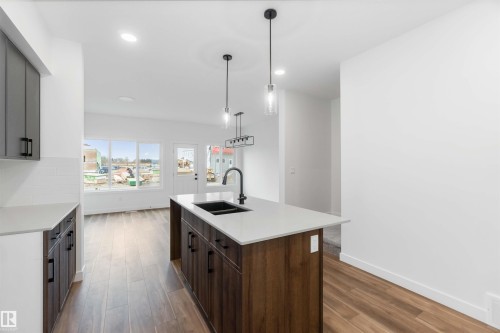 1011 Aster Boulevard, Edmonton, AB - Indoor Photo Showing Kitchen With Double Sink