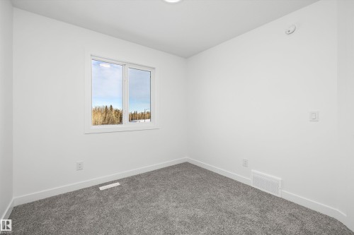 4180 Kinglet Drive, Edmonton, AB - Indoor Photo Showing Other Room