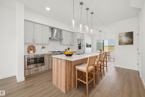 618 176 Avenue, Edmonton, AB - Indoor Photo Showing Kitchen With Upgraded Kitchen
