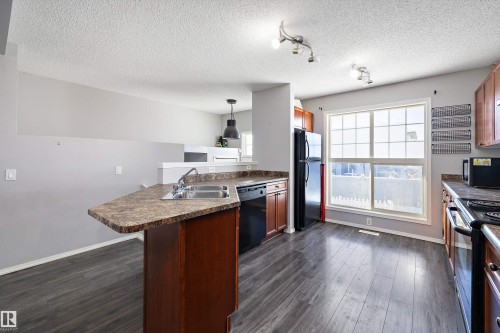 72 5604 199 Street, Edmonton, AB - Indoor Photo Showing Kitchen With Double Sink