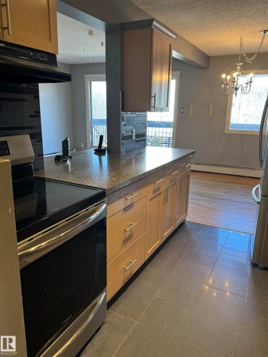 425 11217 103 Avenue, Edmonton, AB - Indoor Photo Showing Kitchen