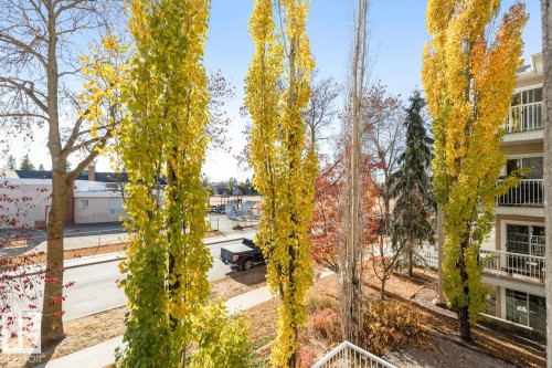 202 10524 77 Avenue, Edmonton, AB - Outdoor