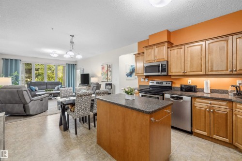 207 9820 165 Street, Edmonton, AB - Indoor Photo Showing Kitchen