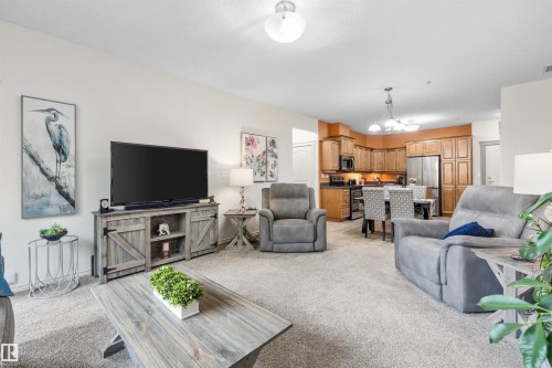 207 9820 165 Street, Edmonton, AB - Indoor Photo Showing Living Room