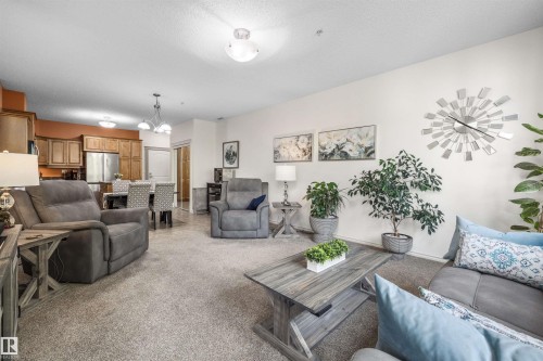 207 9820 165 Street, Edmonton, AB - Indoor Photo Showing Living Room
