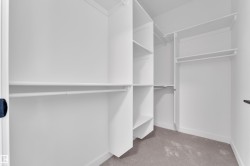 Walk in closet with light carpet - 